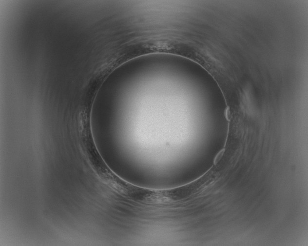 X0000074260747200608251226