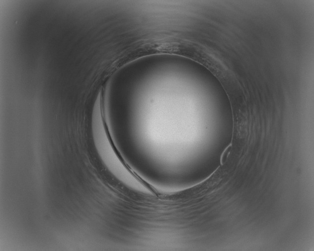 X0000074260748200608251226