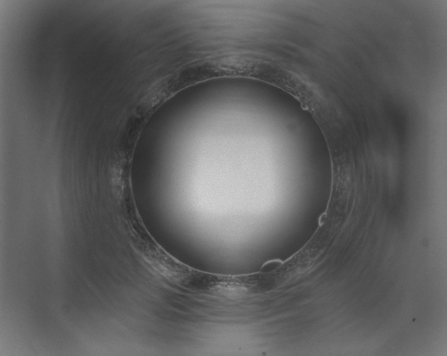 X0000074260749200608251226