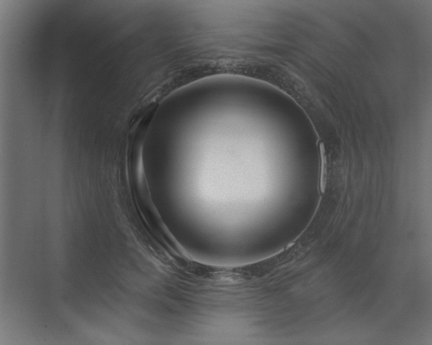 X0000074260750200608251226