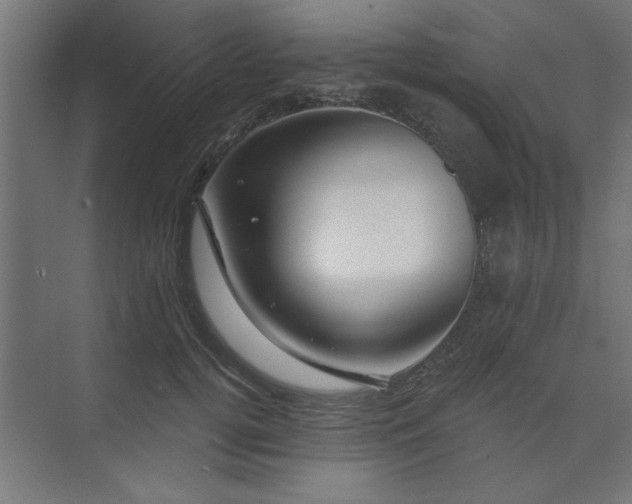 X0000074260752200608251226