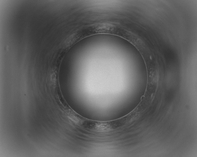 X0000074260753200608251226