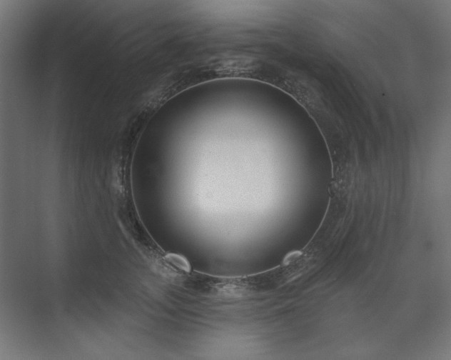 X0000074260755200608251226