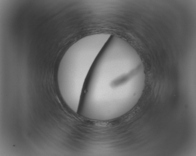 X0000074260757200608251226