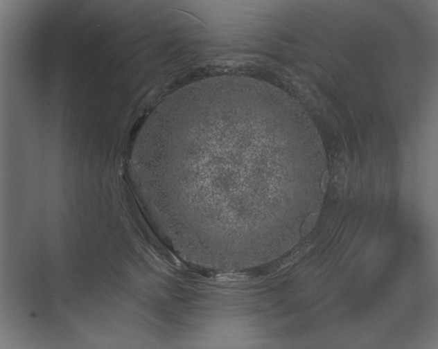 X0000074260758200608251226