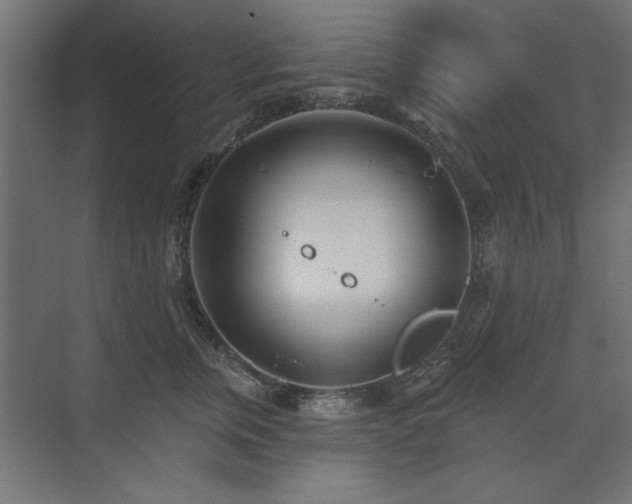 X0000074260759200608251226