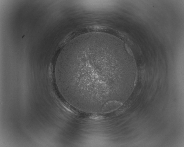 X0000074260760200608251226