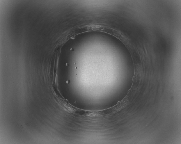 X0000074260761200608251226