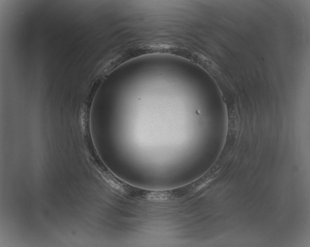 X0000074260762200608251226