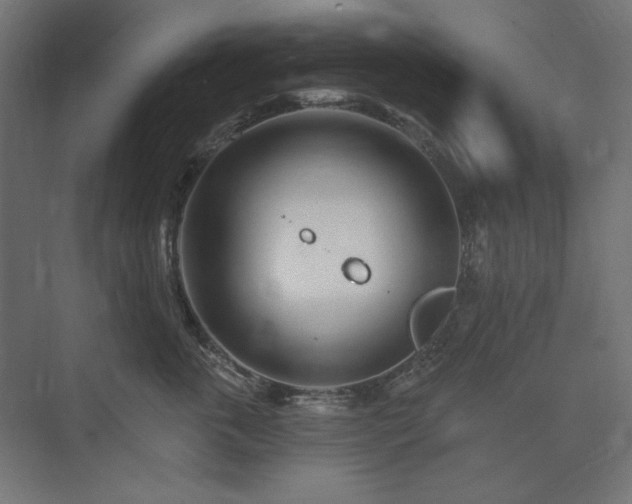 X0000074260763200608251226