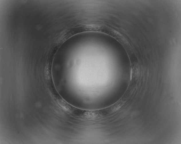 X0000074260764200608251226