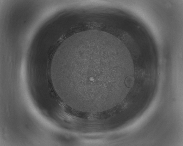 X0000074260765200608251226