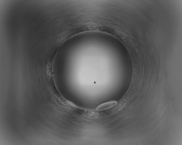 X0000074260768200608251226