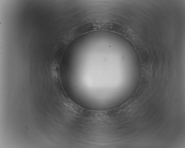 X0000074260770200608251225