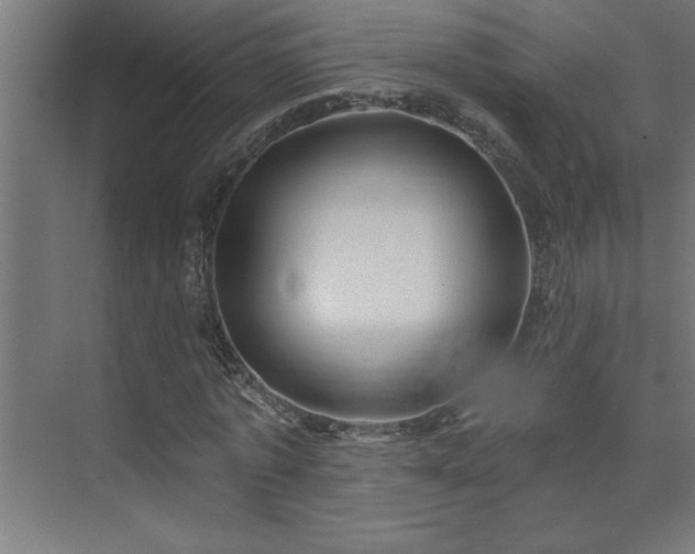 X0000074260773200608251225