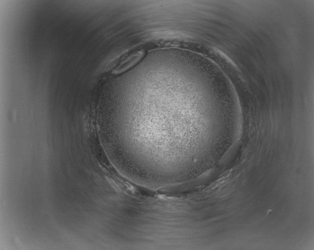 X0000074260775200608251225