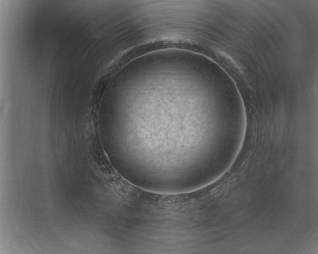 X0000074260776200608251225