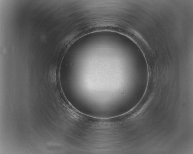 X0000074260777200608251225