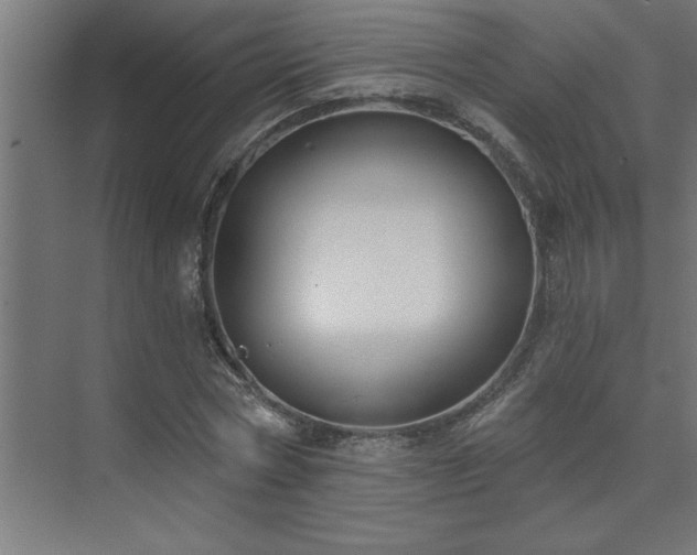 X0000074260778200608251225