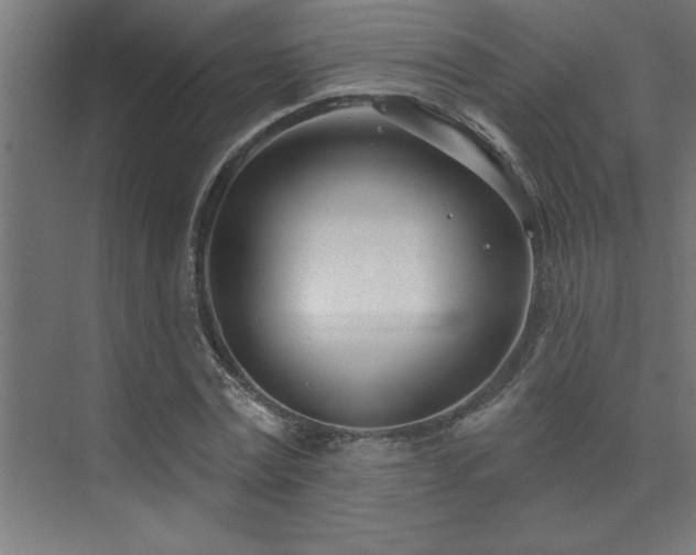 X0000074260779200608251225