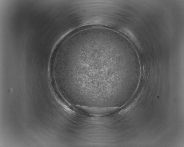 X0000074260780200608251225