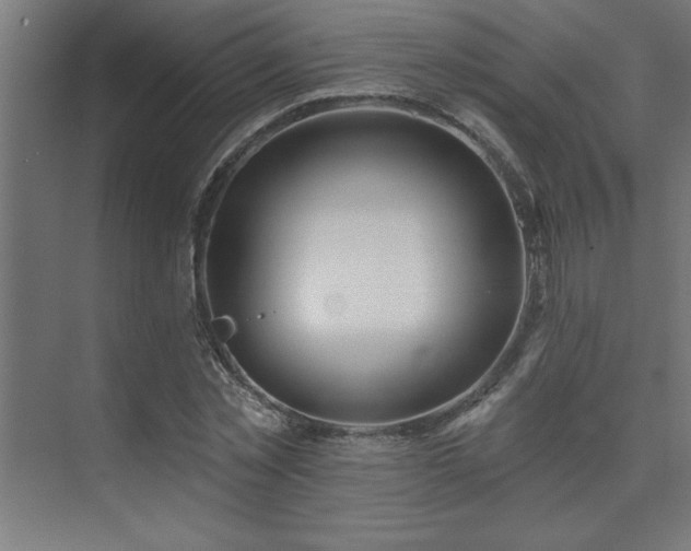 X0000074260781200608251225