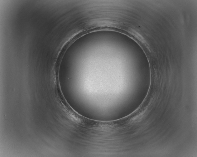 X0000074260782200608251225