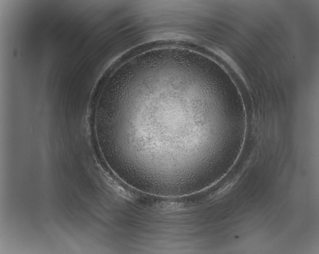 X0000074260783200608251225