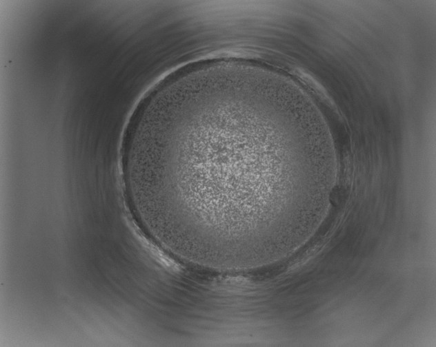 X0000074260784200608251225