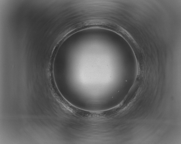 X0000074260786200608251225