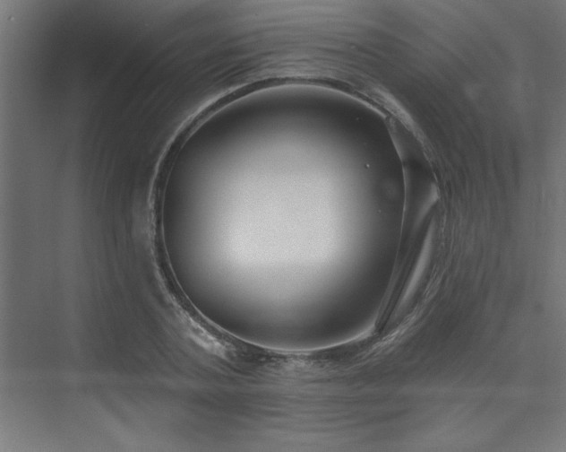 X0000074260787200608251225