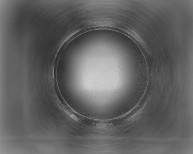 X0000074260790200608251225