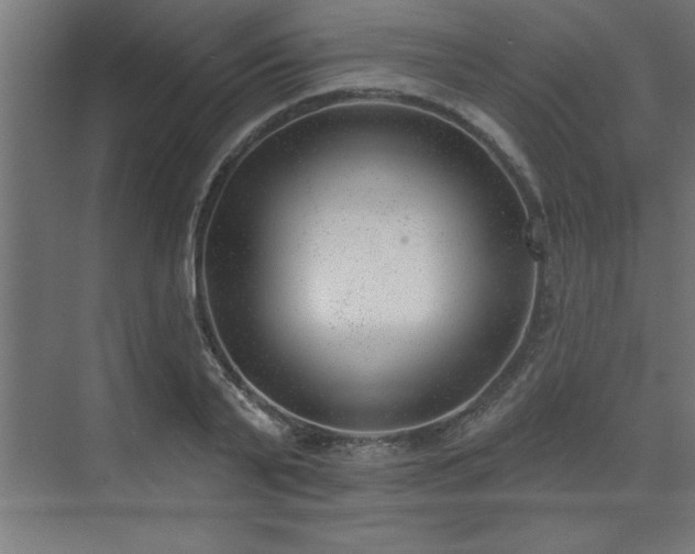 X0000074260791200608251225