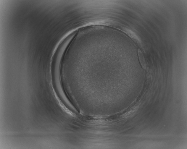 X0000074260792200608251225