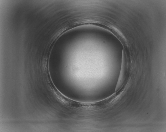 X0000074260793200608251225