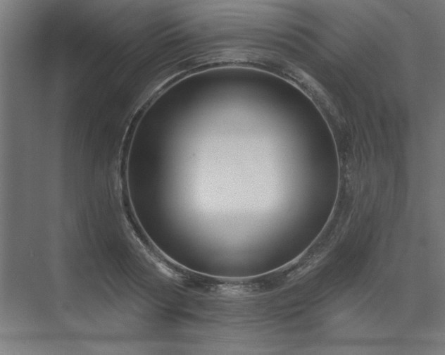 X0000074260794200608251225