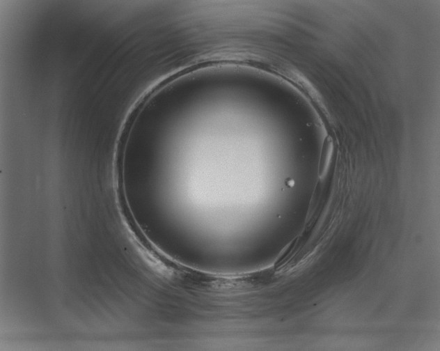 X0000074260795200608251225