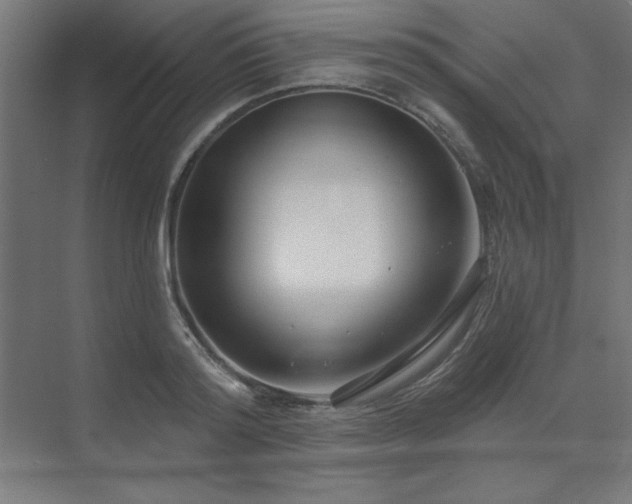 X0000074260796200608251225