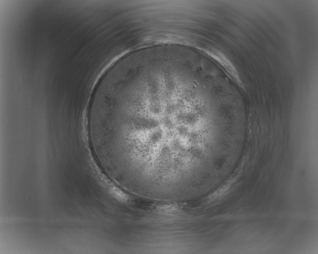 X0000074260798200608251225