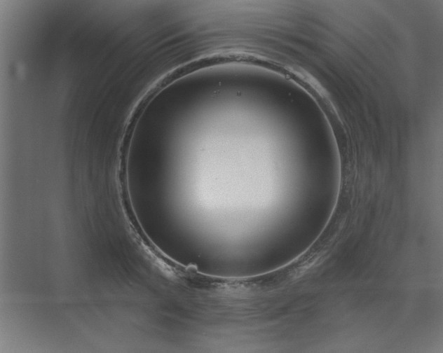 X0000074260799200608251225