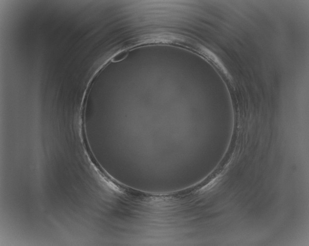 X0000074260802200608251225