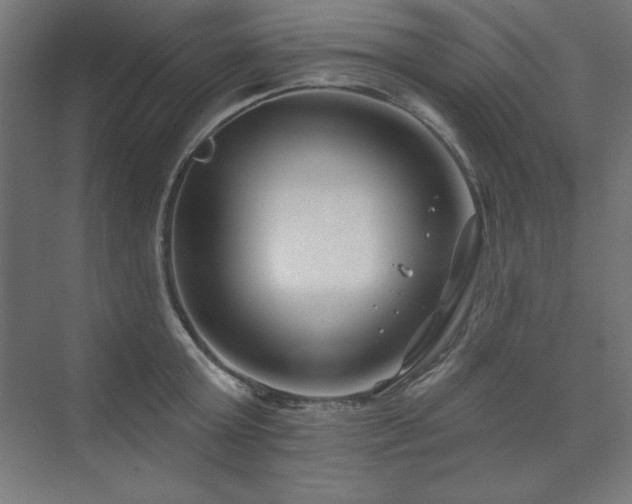 X0000074260803200608251225