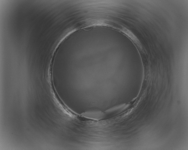 X0000074260806200608251224