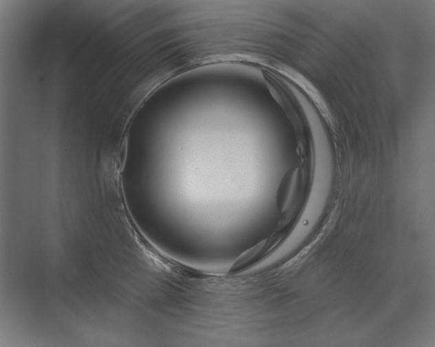 X0000074260809200608251224