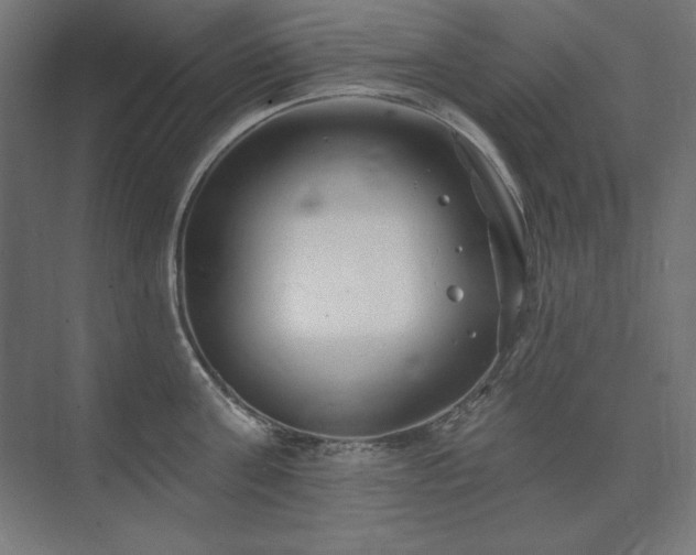 X0000074260811200608251224