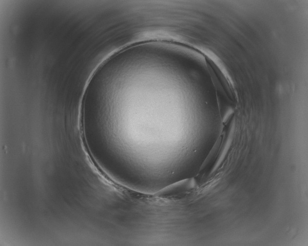 X0000074260815200608251224