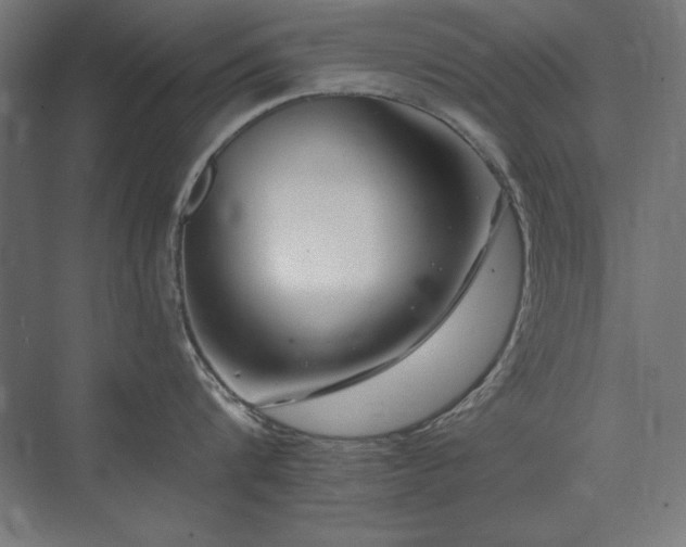 X0000074260816200608251224