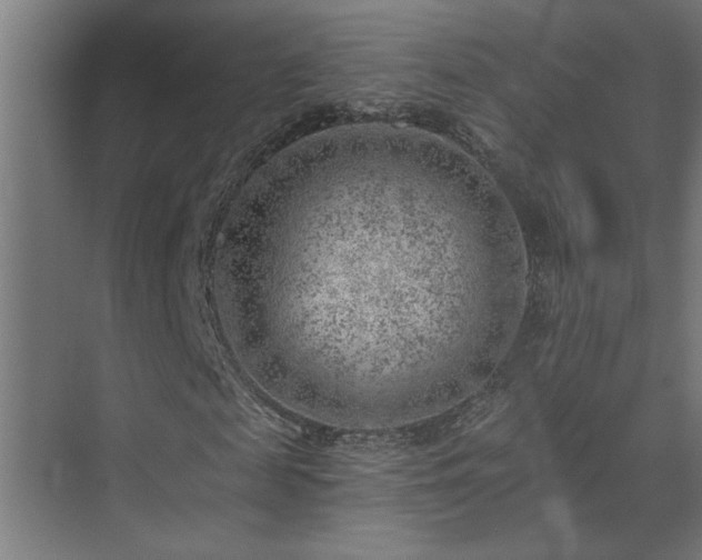 X0000074260817200608251223