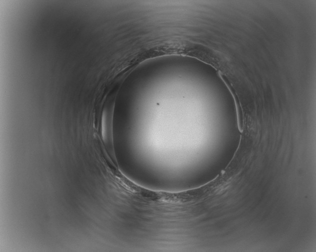 X0000074260818200608251223