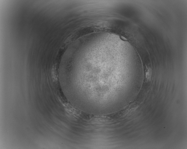 X0000074260819200608251223